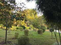-晓港公园