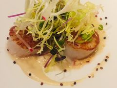 香煎北海道扇贝-蝶舍·MAISON PAPILLON