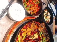 -老板恋上鱼(恒隆广场店)