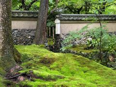 -西芳寺(苔寺)