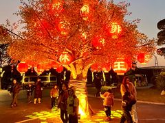-琅岐红光湖公园