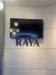 -RAYA韩国造型