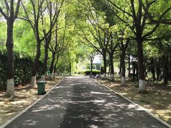 -祥源·阜阳生态乐园