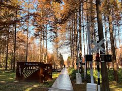 -黄海国家森林公园