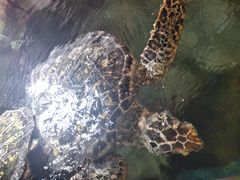 -福州罗源湾海洋世界旅游区