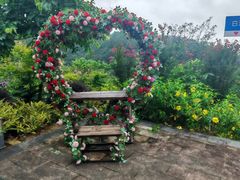 -广州白江湖森林公园