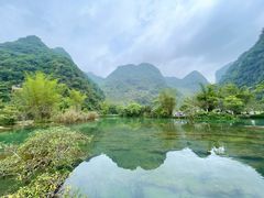 -靖西鹅泉风景区