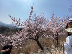 -龙泉峪长城