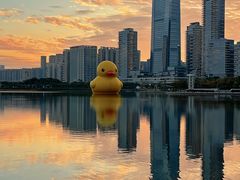 -深圳人才公园