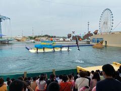 -秦皇岛乐岛海洋王国