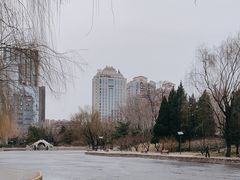 -团结湖公园