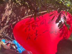 -将军关探险漂流