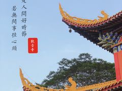 -东莞市大岭山森林公园