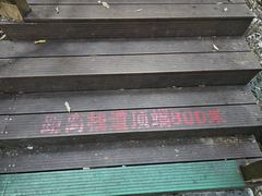 -海南霸王岭国家森林公园