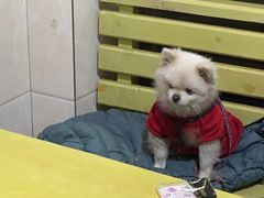 -老光明岗琼甜茶馆