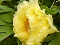 -洛阳市隋唐城遗址植物园