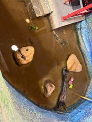 -酷嗒动物文化乐园(cutezoo西溪乐天城店)