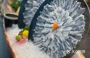 Southeast Asian Tiger Grouper