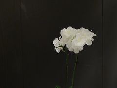 -蘇锦宴·淮扬菜烤鸭·小院(三元桥霄云路店)