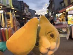 -马六甲鸡场街