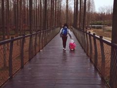 -黄海国家森林公园