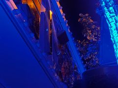 -秦皇岛新澳海底世界
