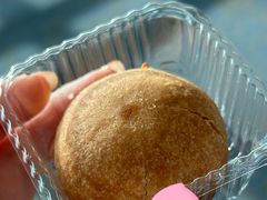 云腿小饼-潘祥记鲜花饼(昆明长水国际机场店)