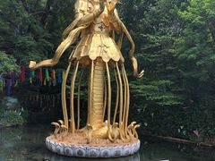 -丽江玉水寨