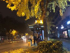 -金牌外婆家(苏州中心店)