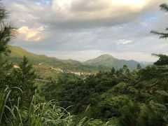 -军营村