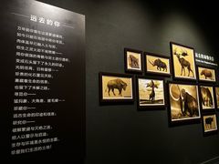 -大庆市博物馆
