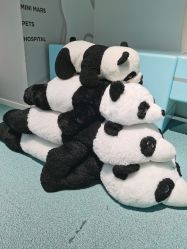 -MINI MARS KIDS CLUB亲子家庭中心(长宁天山店)