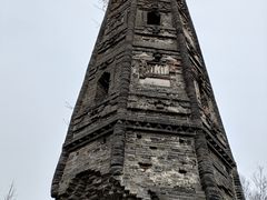 -上海佘山国家森林公园天马山园