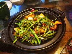 -云海肴·汽锅鸡·云南菜(天津国金汇店)