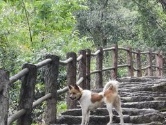 -东南悬空寺方广岩
