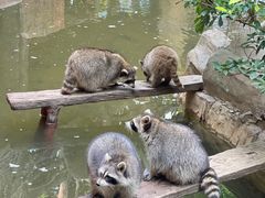 -长鹿旅游休博园