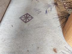 -秦皇岛阿尔卡迪亚滨海度假酒店