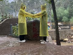 -洛阳白云山景区