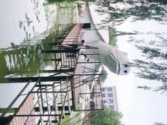 -东方巨龟苑景区