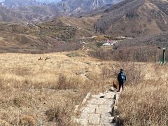 -灵山