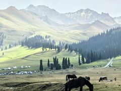 -新疆那拉提国家旅游度假区
