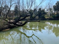 -狼山风景名胜区