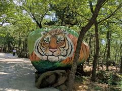 -沂蒙山旅游区龟蒙景区