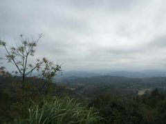 -南雄冯屋银杏山庄