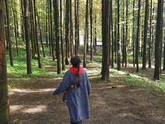 -山王坪喀斯特国家生态公园