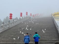 -龙口南山旅游景区