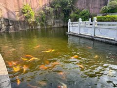 -广州莲花山旅游区