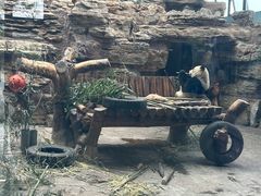 -石家庄市动物园