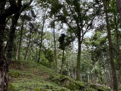 -洛阳白云山景区