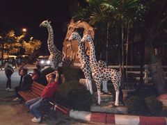 -清迈夜间动物园